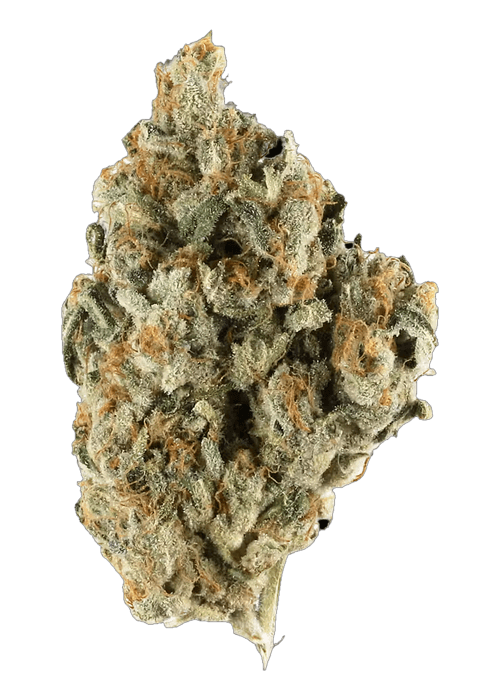 Cherry Madness - 3.5G