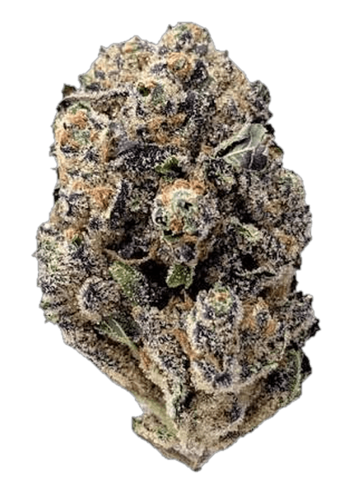 Purple Push Pop - 3.5G
